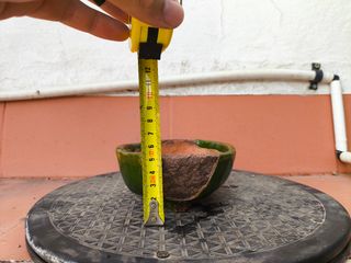 Maceta bonsai de autor