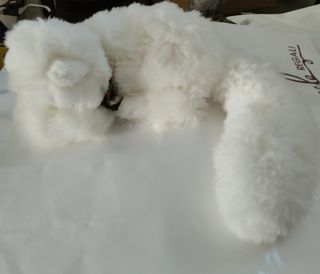Peluche 