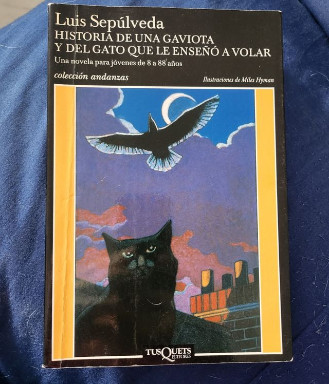 Historia gaviota y gato enseñó a volar