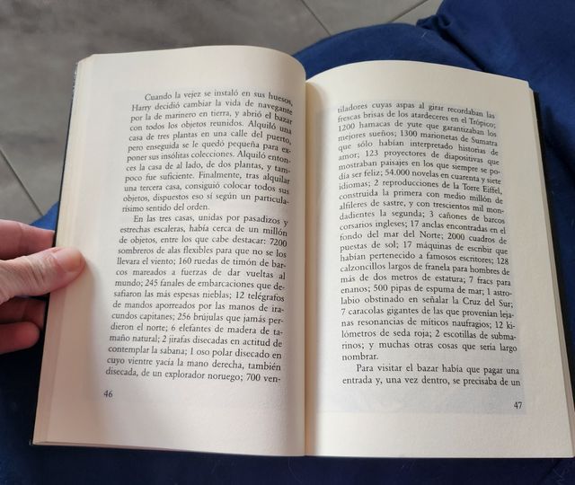Historia gaviota y gato enseñó a volar