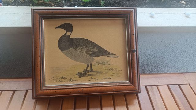 Cuadro tapacontador luz