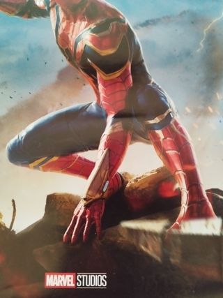 Poster Spiderman No Way Home
