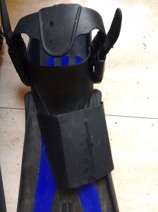 atletas de buceo pegaso