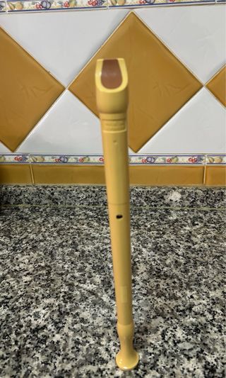 Flauta, Funda y Limpiador para flautas