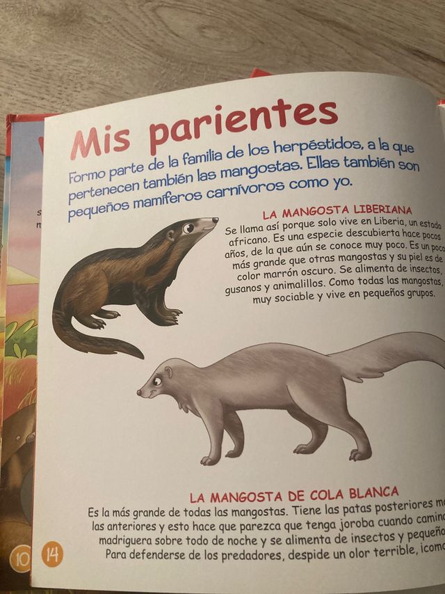 Aminales de la sabana