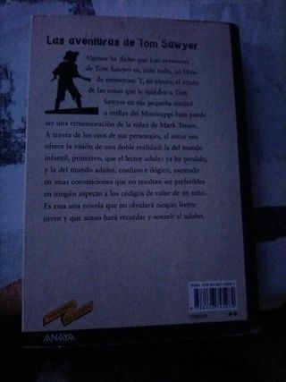 Las aventuras de Tom Sawyer
