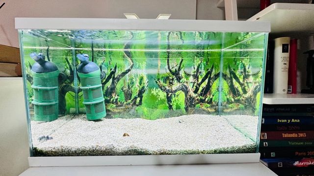 Acuario 75 litros