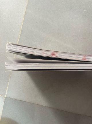 Pack 2 libros Isadora Moon