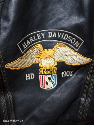 Cazadora Harley