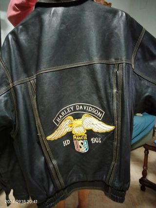Cazadora Harley