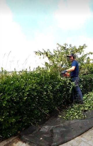 Jardinero económico