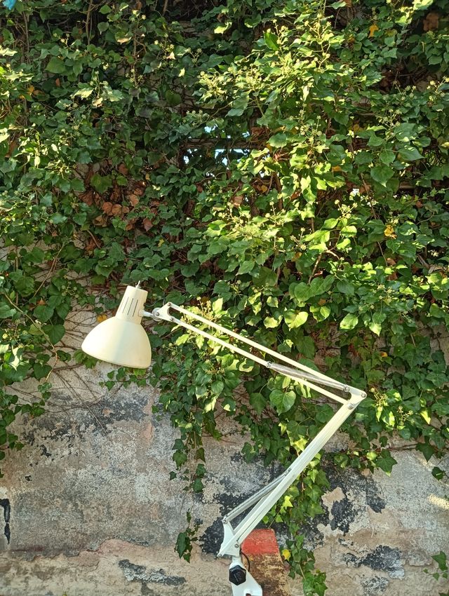 Flexo articulado Fase, años 60.