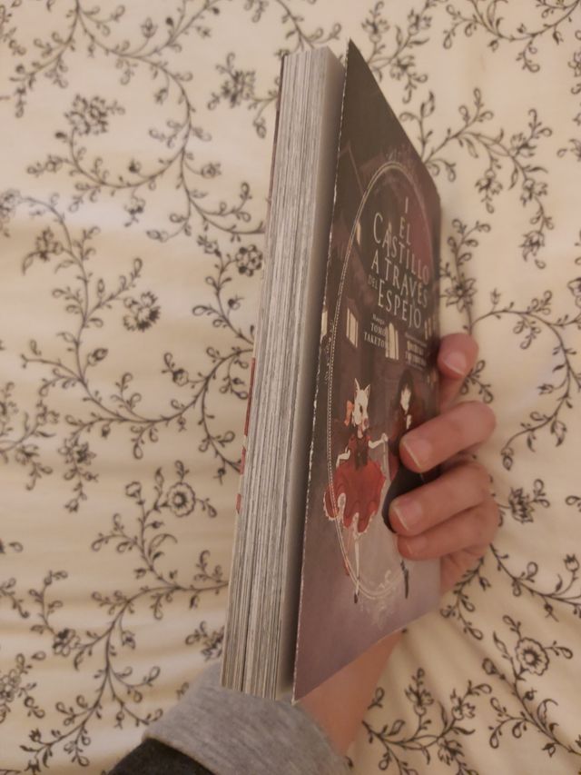 El castillo a través del espejo