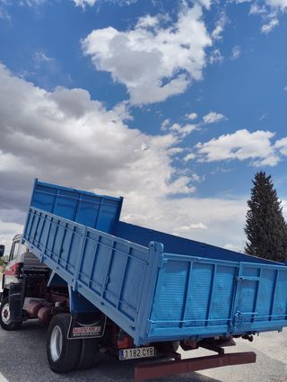 SE VENDE CAMION GRUA Y BASCULANTE