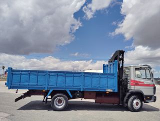 SE VENDE CAMION GRUA Y BASCULANTE