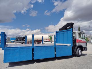 SE VENDE CAMION GRUA Y BASCULANTE