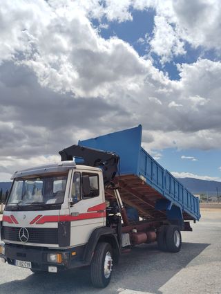 SE VENDE CAMION GRUA Y BASCULANTE