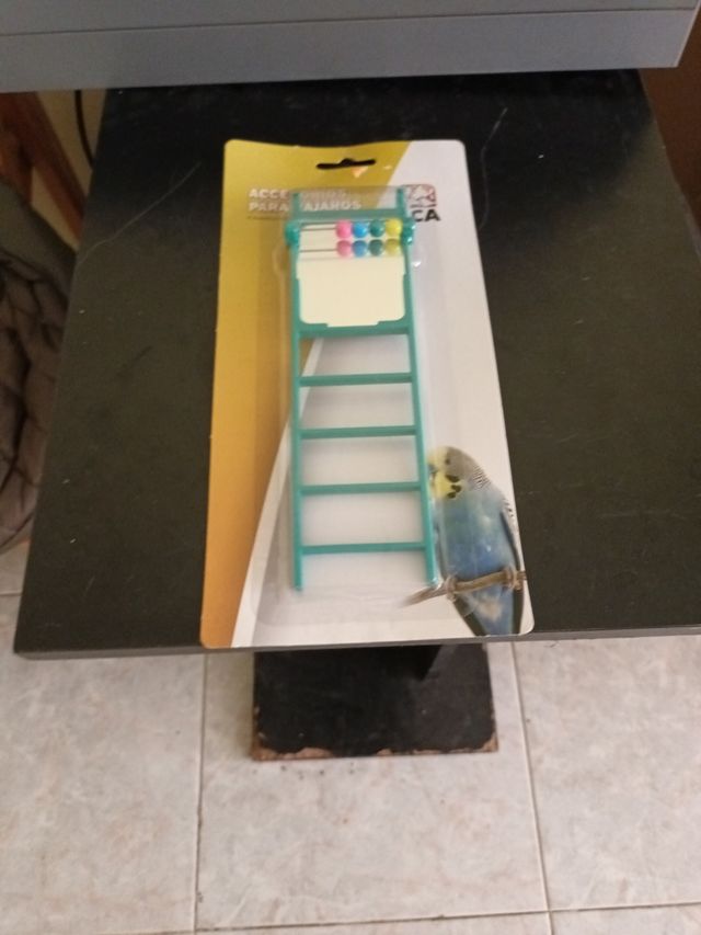 Accesorios para pajaros