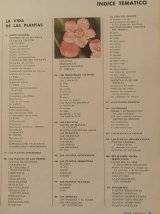 COLECCION TEMATICA PAL LA VIDA DE LAS PLANTAS