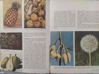 COLECCION TEMATICA PAL LA VIDA DE LAS PLANTAS