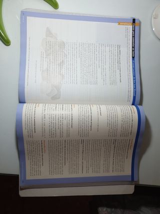 Lengua castellana y literatura