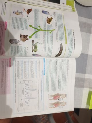 Biología y geología 1 bachillerato