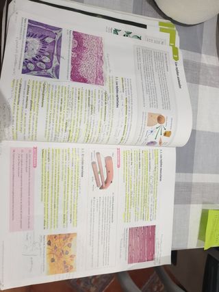 Biología y geología 1 bachillerato