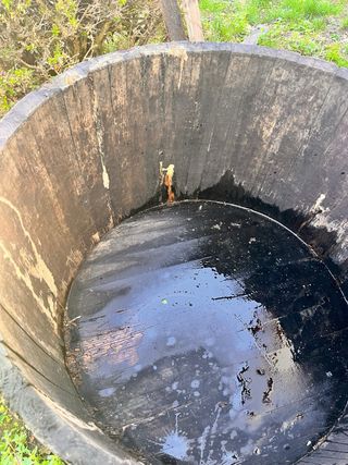 Tinozza in legno per vendemmia  Vintage