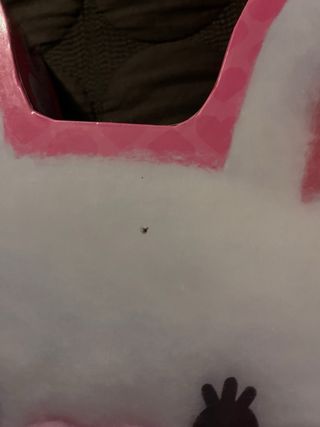 Puzzle 48 pezzi Mofy by Lisciani