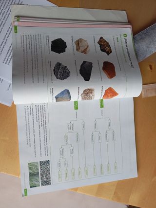 Biología y Geología. 1 Secundaria. Revuela