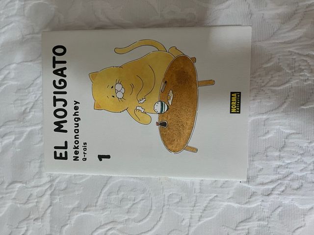 El mojigato 1