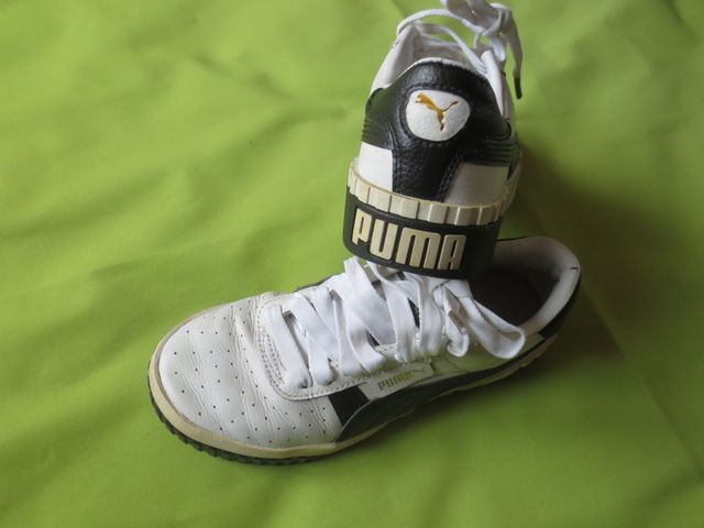 Puma