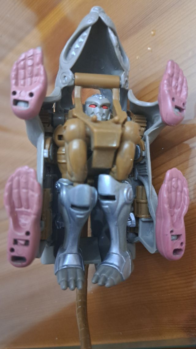 Trasformatori Rattap 1996