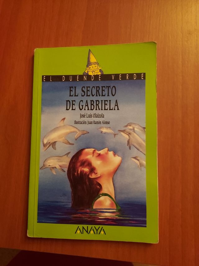 El Secreto de Gabriela
