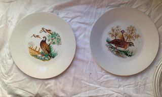 Juego de platos y fuente Porzelanit