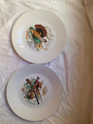 Juego de platos y fuente Porzelanit