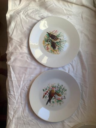 Juego de platos y fuente Porzelanit