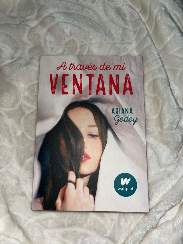 Libro A Través De Mi Ventana