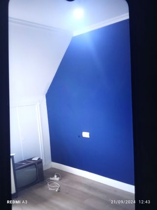 Pintor y manitas muy económico y profesional
