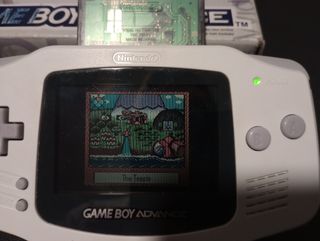 Warioland 3 + Manual Game Boy Color!!!