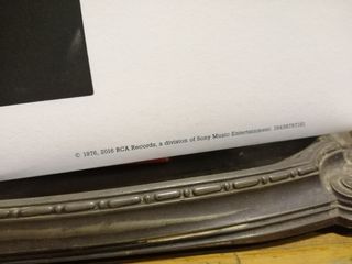 Lou reed coney Island LP picture disk