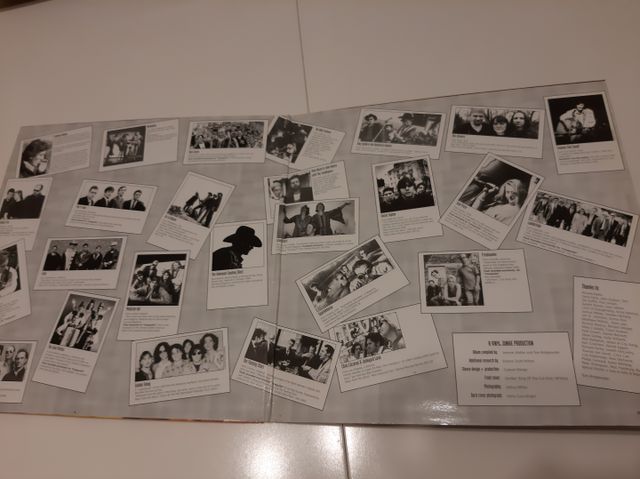 DOBLE VINILO DE COWPUNKS (1996)