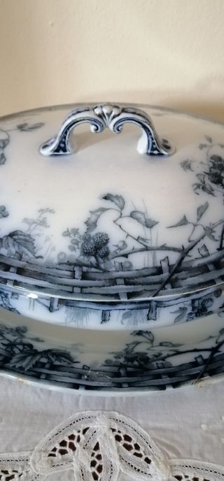 Antigua Porcelana siglo XIX