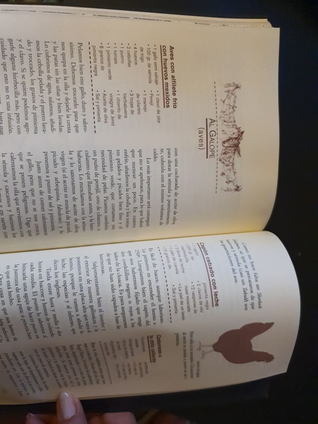 La cocina del Quijote