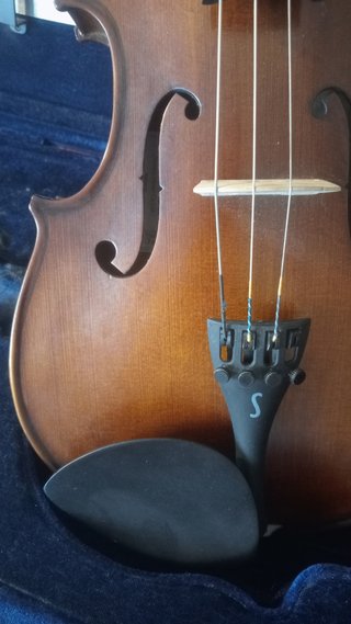 Viola Stentor 16"