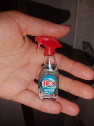 Colección de miniaturas de perfumes 