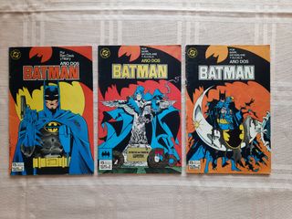 BATMAN AÑO DOS Zinco