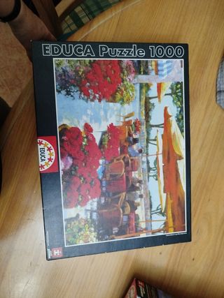 Puzzles  1000 piezas