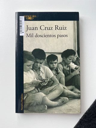 Mil doscientos pasos de Juan Cruz Ruiz