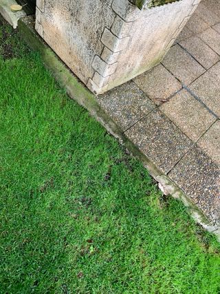 Caseta perro cemento